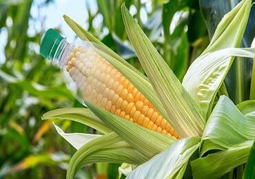 Europe publishes, global bioplastics data for 2024, the future is PLA and PHA?